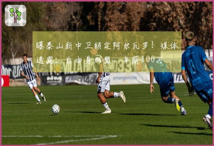 曝泰山新中卫锁定阿尔瓦罗！媒体透露：自由身加盟，年薪100万